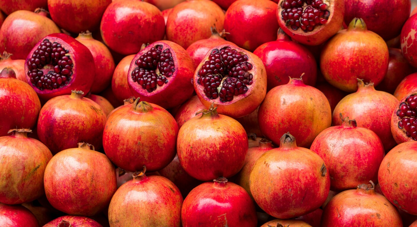 Jonas renner LOdAL10JejI unsplash (1)